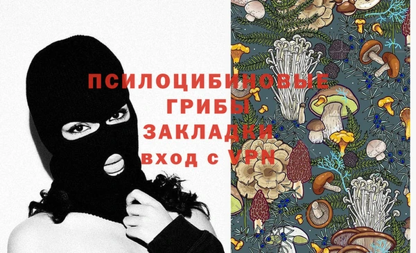 гашик Балабаново